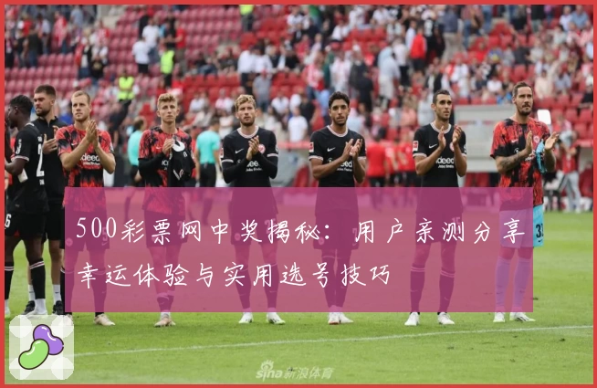 500彩票网中奖揭秘：用户亲测分享幸运体验与实用选号技巧