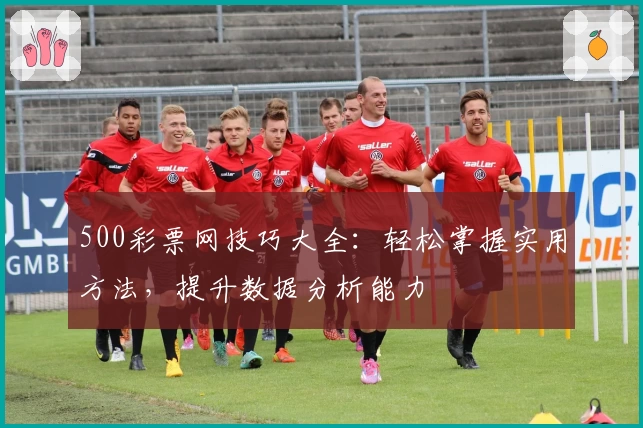 500彩票网技巧大全：轻松掌握实用方法，提升数据分析能力