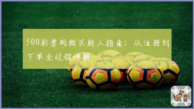 500彩票网购买新人指南:从注册到下单全过程详解