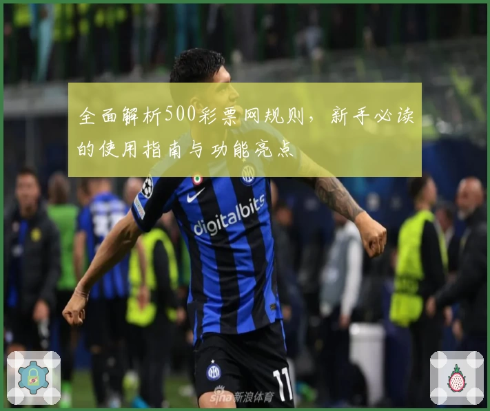 全面解析500彩票网规则，新手必读的使用指南与功能亮点