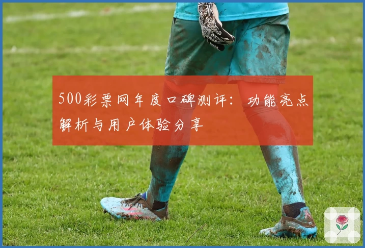 500彩票网年度口碑测评：功能亮点解析与用户体验分享